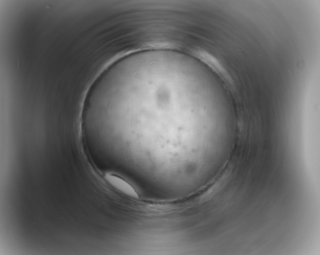 X0000089721236200707051714