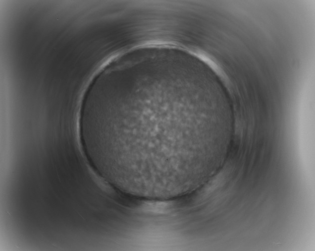 X0000089721237200707051714