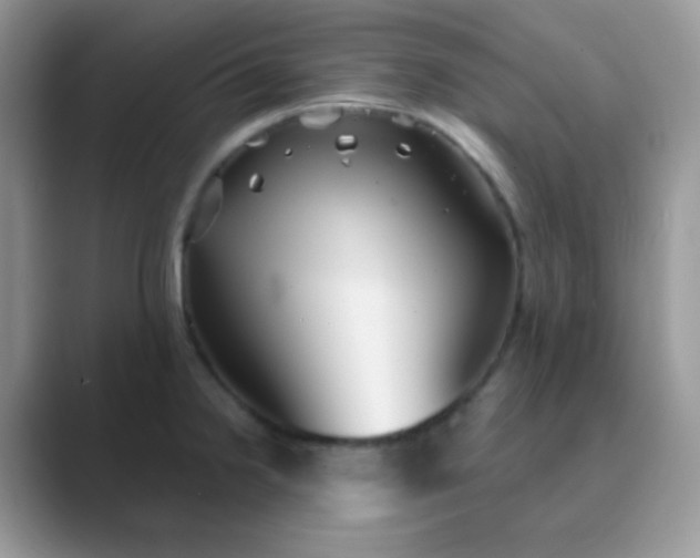 X0000089721238200707051714