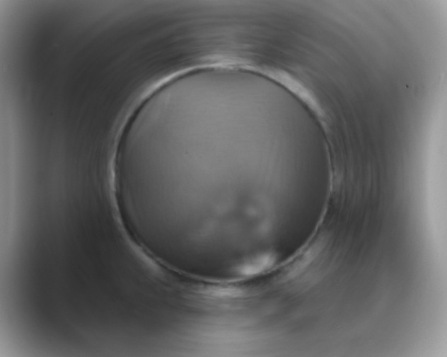 X0000089721239200707051714
