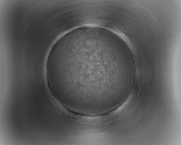 X0000089721240200707051714