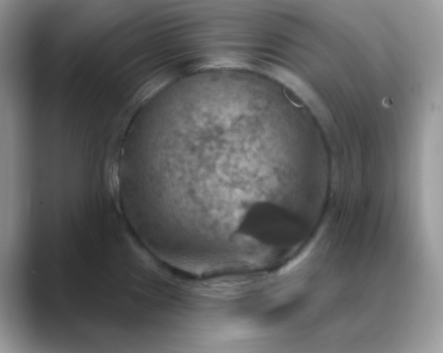 X0000089721241200707051714