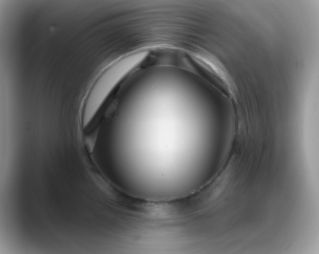 X0000089721242200707051714