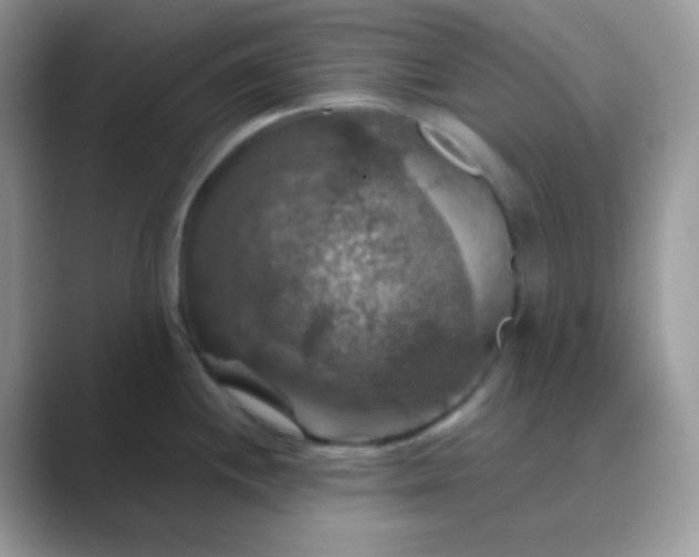 X0000089721244200707051714