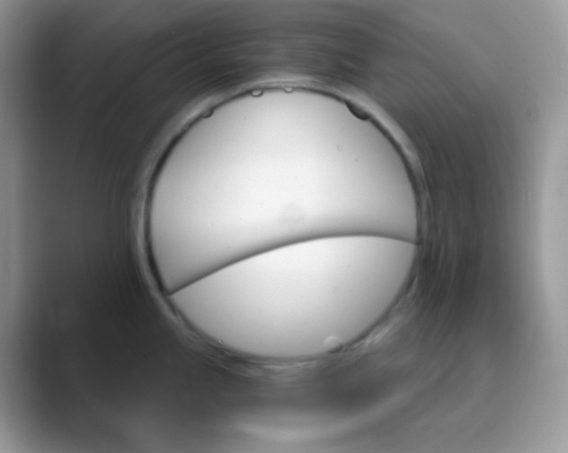 X0000089721245200707051714
