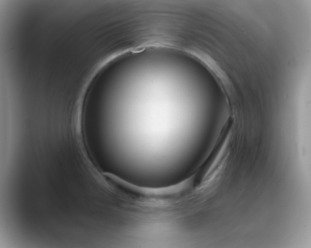 X0000089721246200707051714