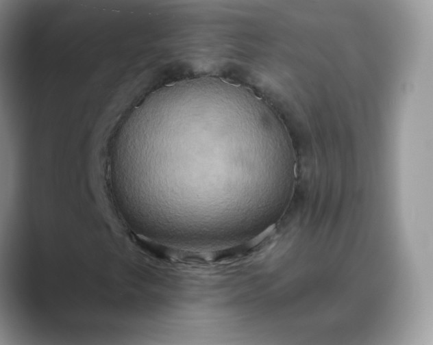 X0000089721249200707051713