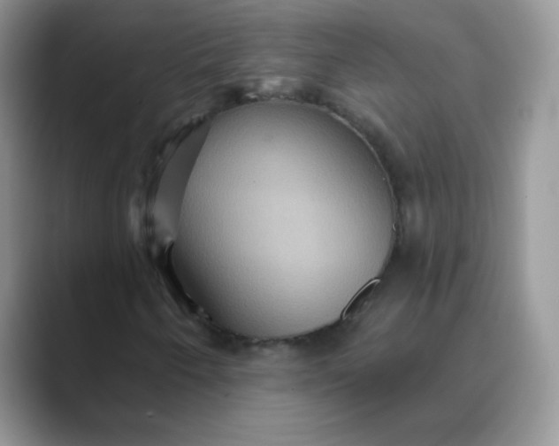 X0000089721250200707051713