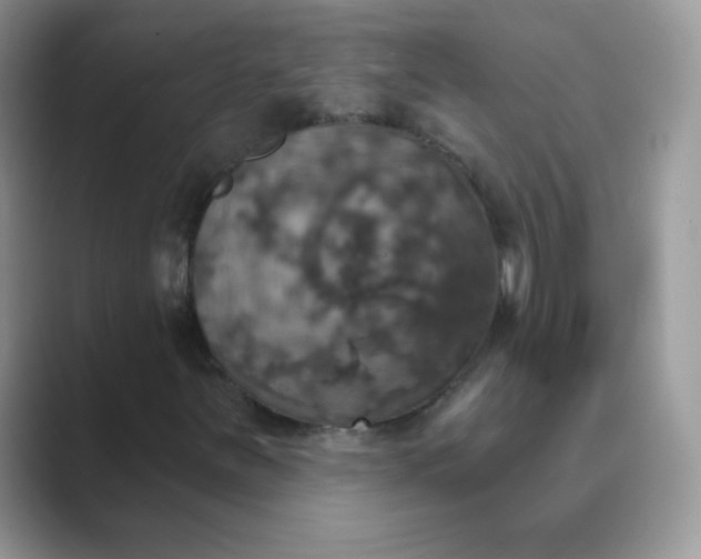 X0000089721251200707051713
