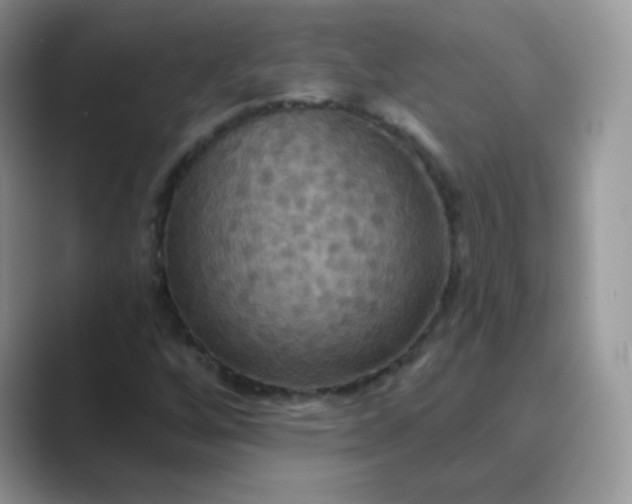 X0000089721256200707051713
