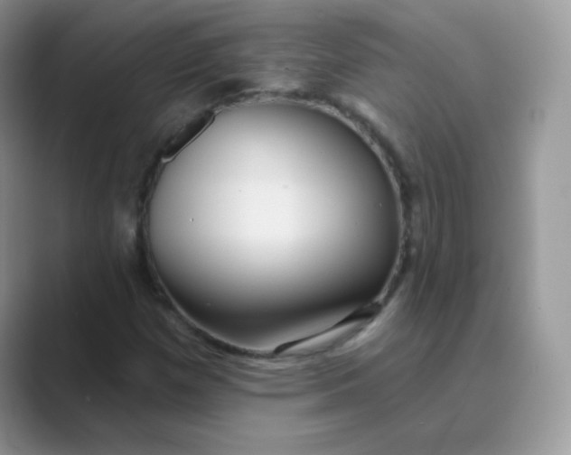 X0000089721257200707051713