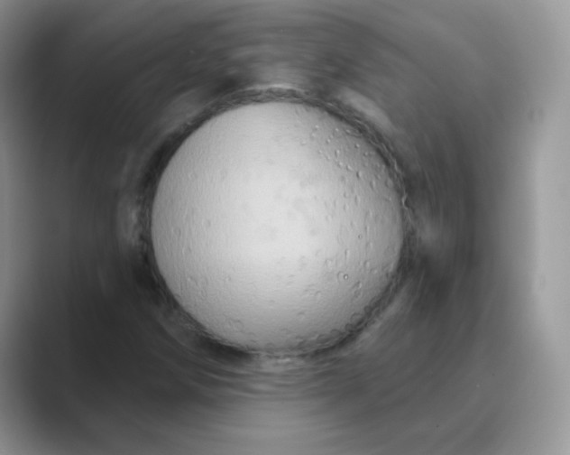 X0000089721258200707051713