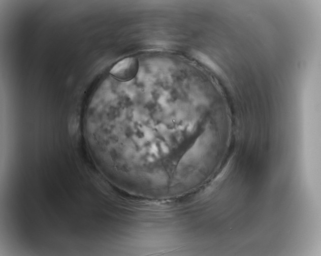 X0000089721259200707051713