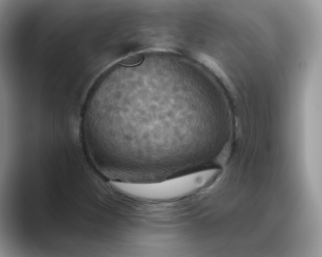 X0000089721260200707051713