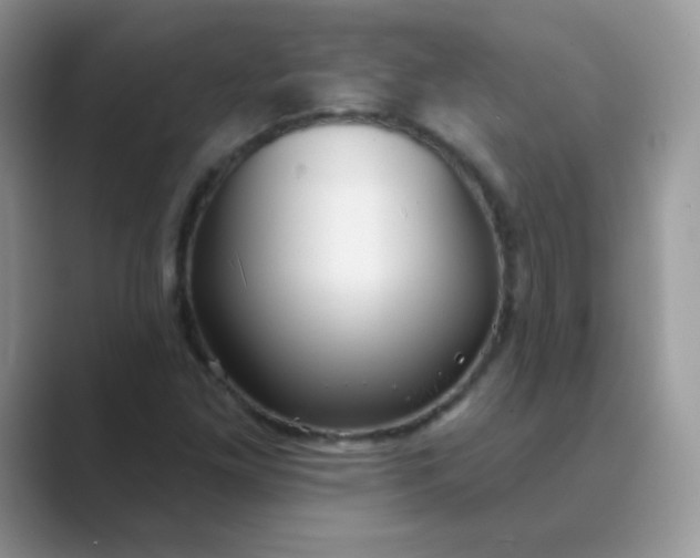 X0000089721261200707051713