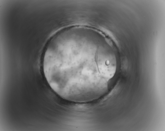 X0000089721264200707051713