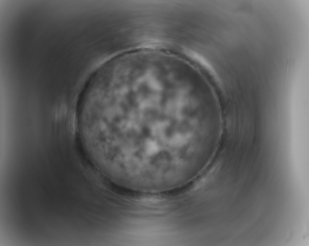 X0000089721267200707051713
