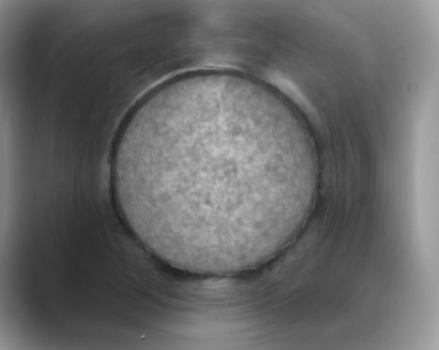 X0000089721268200707051713