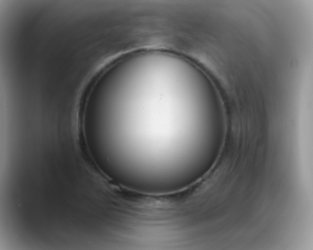 X0000089721270200707051713
