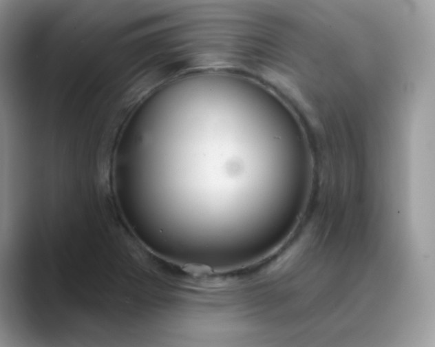 X0000089721273200707051713