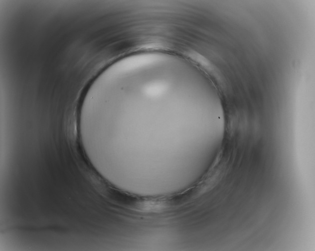 X0000089721274200707051713