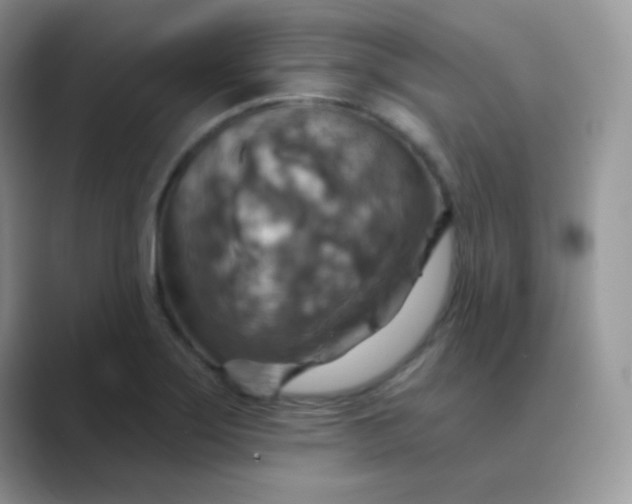 X0000089721275200707051713