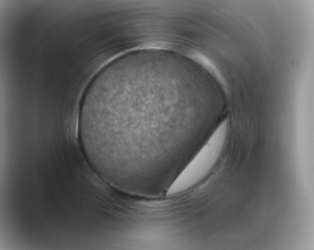 X0000089721276200707051713