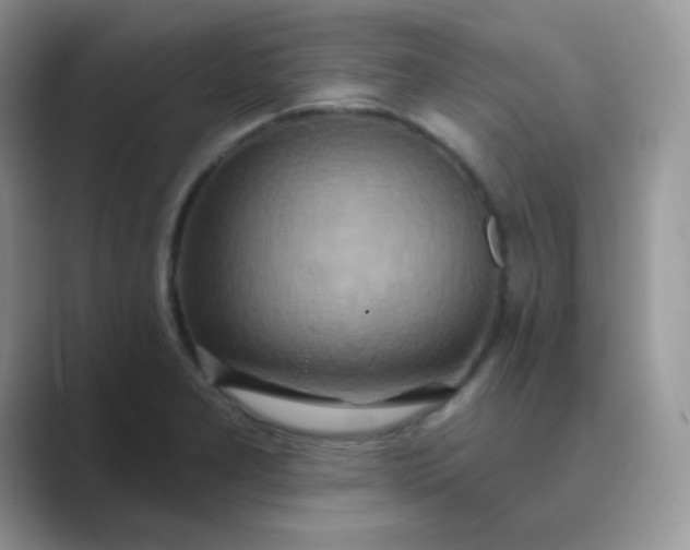 X0000089721277200707051713