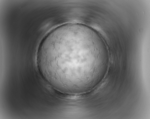 X0000089721278200707051713