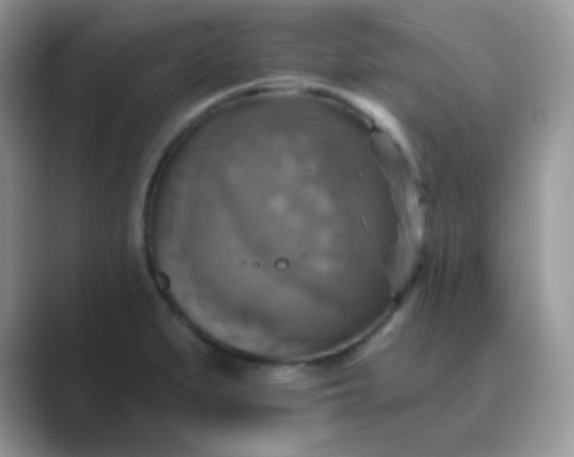 X0000089721279200707051713