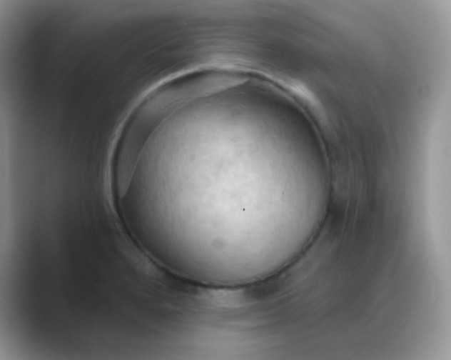 X0000089721280200707051713