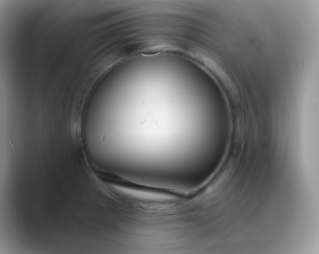 X0000089721281200707051713