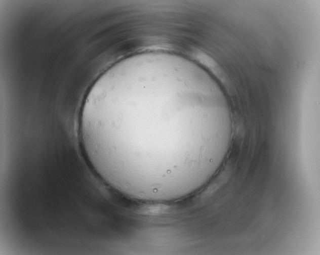 X0000089721282200707051713