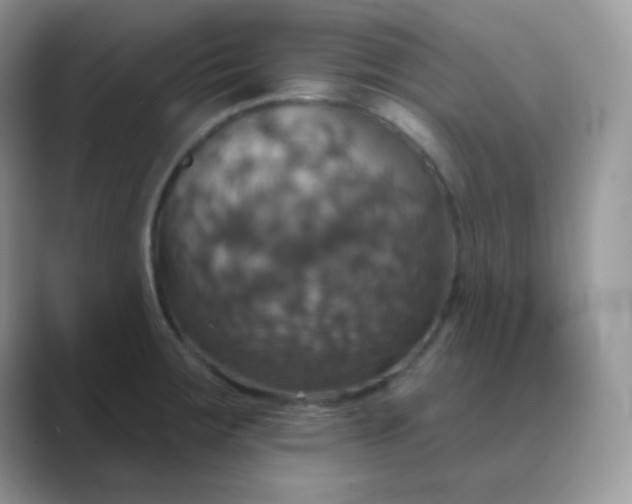 X0000089721283200707051713
