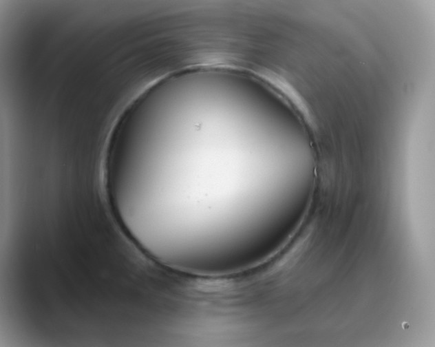 X0000089721285200707051713