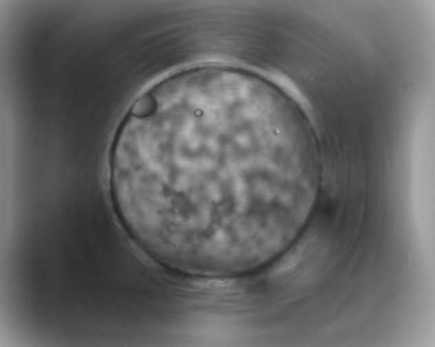 X0000089721287200707051713