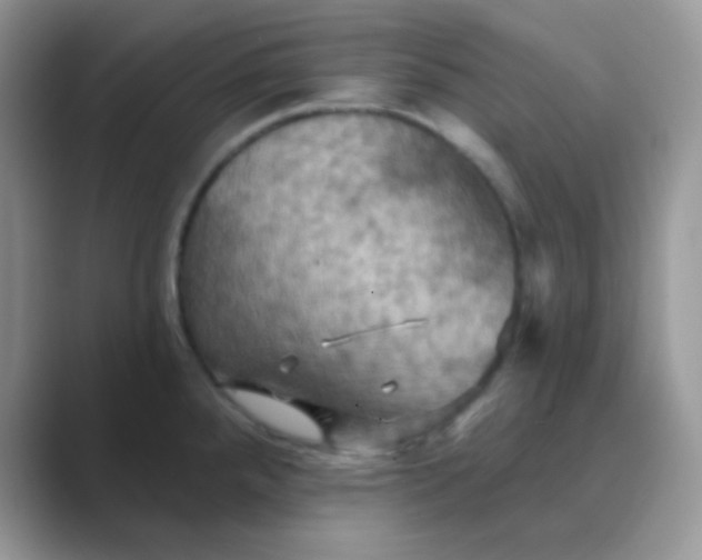 X0000089721288200707051713