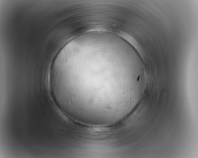 X0000089721290200707051713