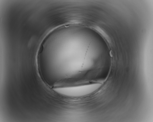 X0000089721291200707051713