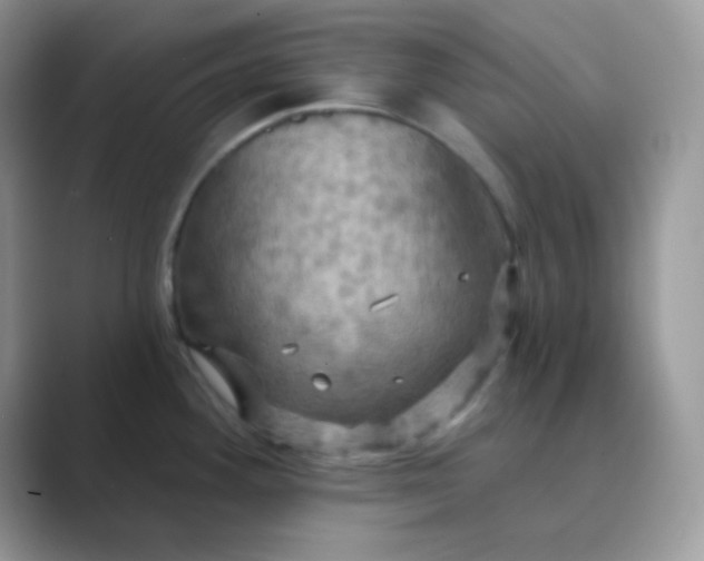 X0000089721292200707051713