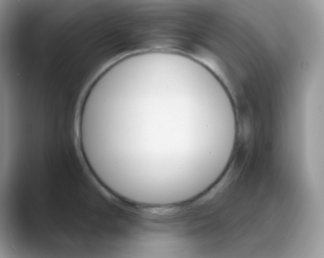 X0000089721294200707051713