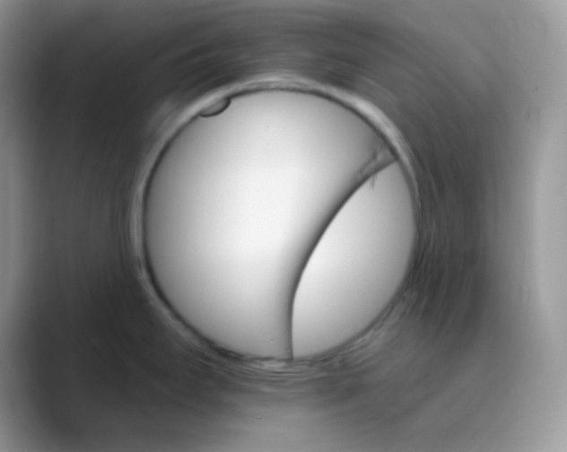 X0000089721295200707051713