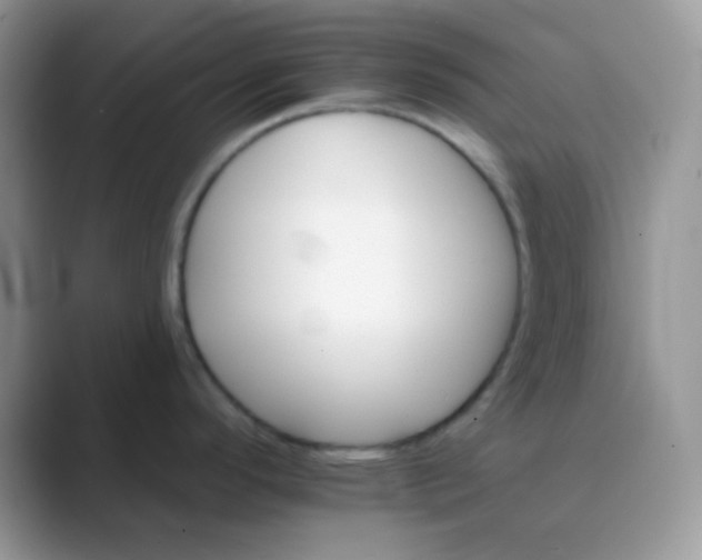 X0000089721296200707051713