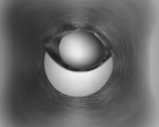 X0000089721298200707051712