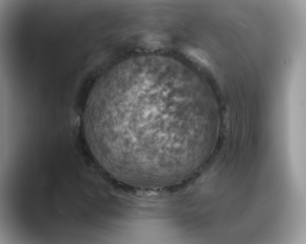 X0000089721302200707051712