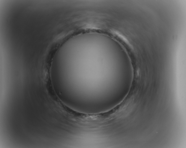 X0000089721303200707051712