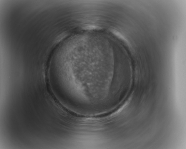 X0000089721305200707051712