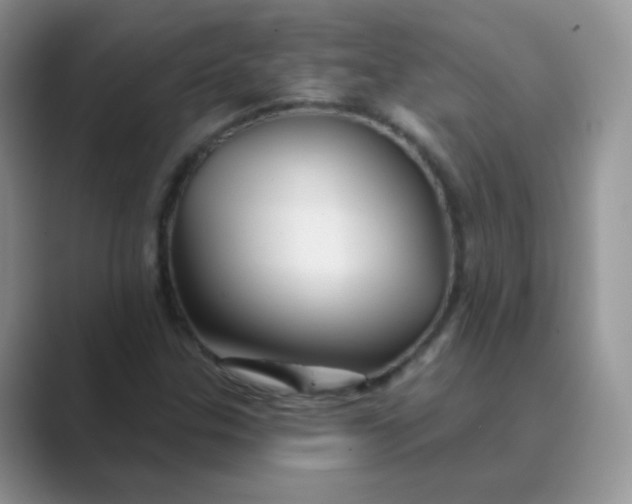 X0000089721307200707051712