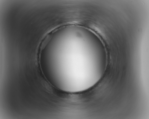X0000089721308200707051712