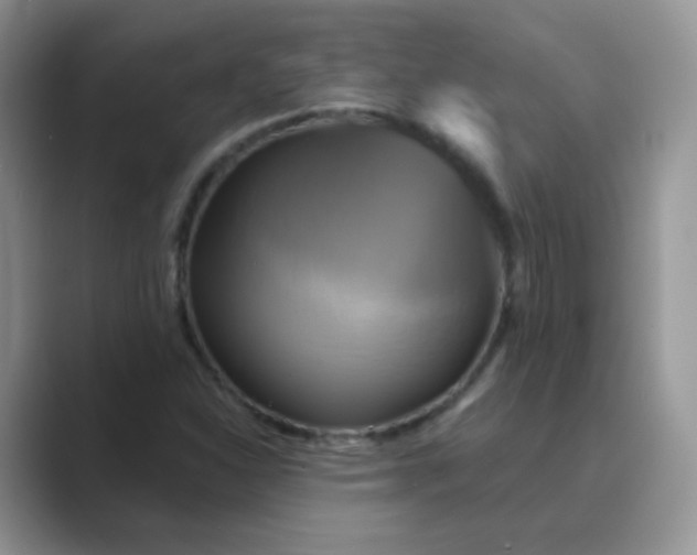 X0000089721310200707051712
